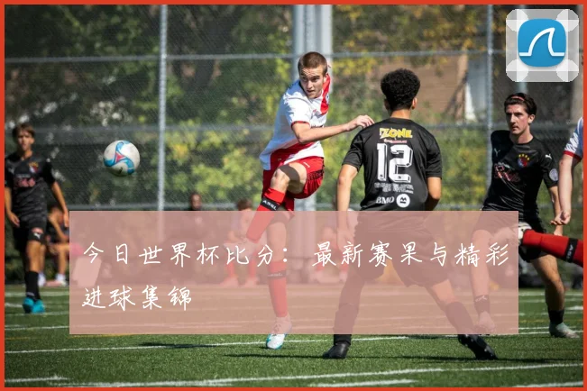 今日世界杯比分:最新赛果与精彩进球集锦